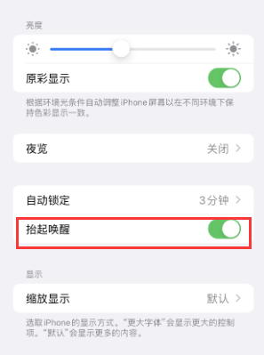 电白苹果授权维修站分享iPhone轻点无法唤醒怎么办