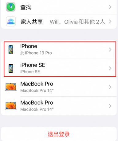 电白苹电白果维修网点分享iPhone如何查询序列号