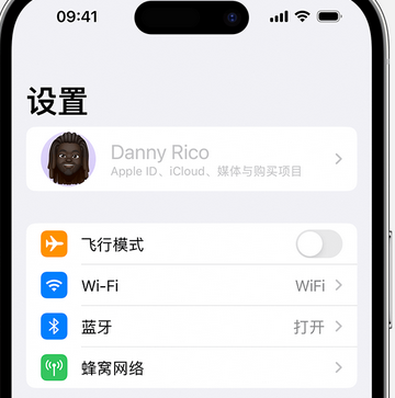 电白appleID维修服务iPhone设置中Apple ID显示为灰色无法使用 