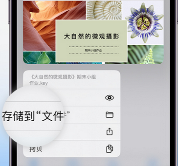 电白apple维修中心分享iPhone文件应用中存储和找到下载文件