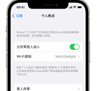 电白apple服务站点分享iPhone上个人热点丢失了怎么办