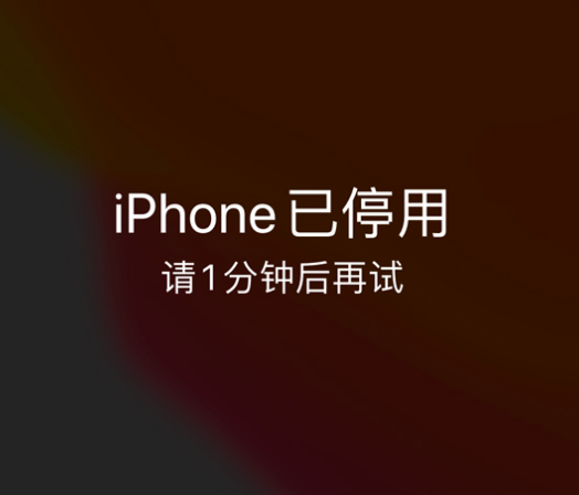 电白苹果手机维修分享:iPhone 显示“不可用”或“已停用”怎么办？还能保留数据吗？ 