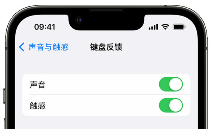 电白苹果手机维修分享iPhone 14触感键盘使用方法 