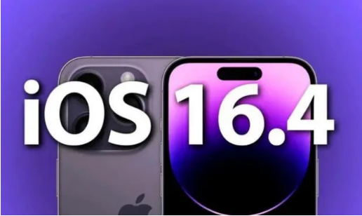 电白苹果14维修分享：iPhone14可以升级iOS16.4beta2吗？ 