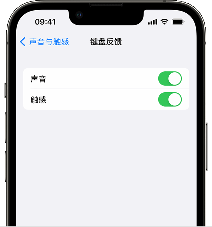 电白苹果14维修店分享如何在 iPhone 14 机型中使用触感键盘 