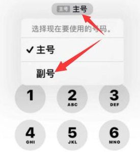 电白苹果14维修店分享iPhone 14 Pro Max使用副卡打电话的方法 