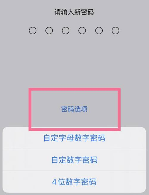 电白苹果14维修分享iPhone 14plus设置密码的方法 