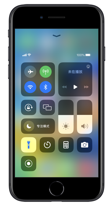 电白苹果14维修分享苹果iPhone 14 Pro手电筒开启方法 