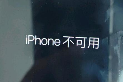 电白苹果服务网点分享锁屏界面显示“iPhone 不可用”如何解决 