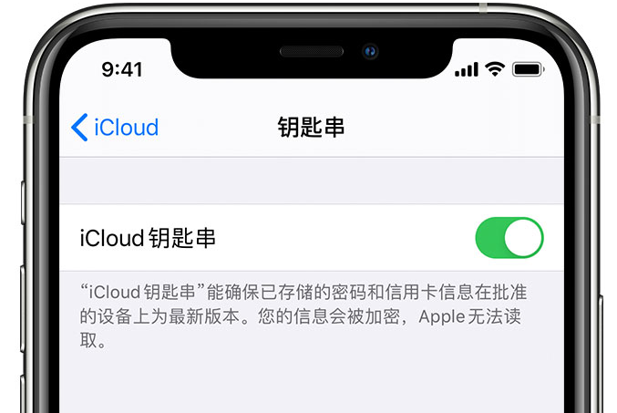 电白苹果手机维修分享在 iPhone 上开启 iCloud 钥匙串之后会储存哪些信息 