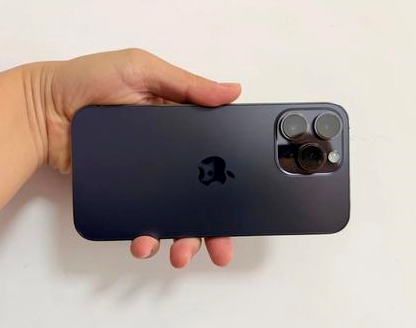 电白苹果维修点分享iPhone 14 Pro Max发烫多重诱因剖析 